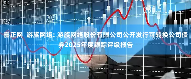 嘉正网  游族网络: 游族网络股份有限公司公开发行可转换公司债券2025年度跟踪评级报告