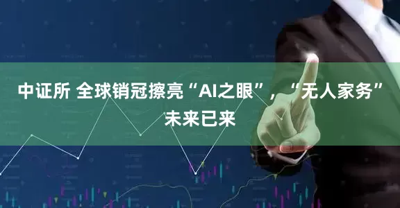 中证所 全球销冠擦亮“AI之眼”，“无人家务”未来已来