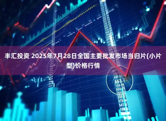 丰汇投资 2025年7月28日全国主要批发市场当归片(小片型)价格行情