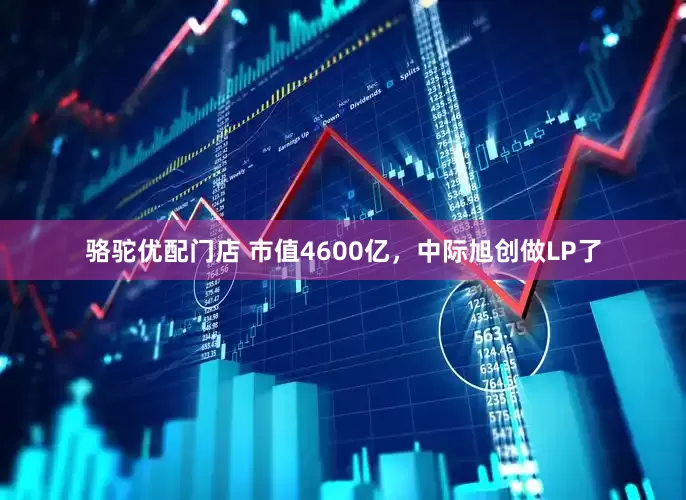 骆驼优配门店 市值4600亿，中际旭创做LP了
