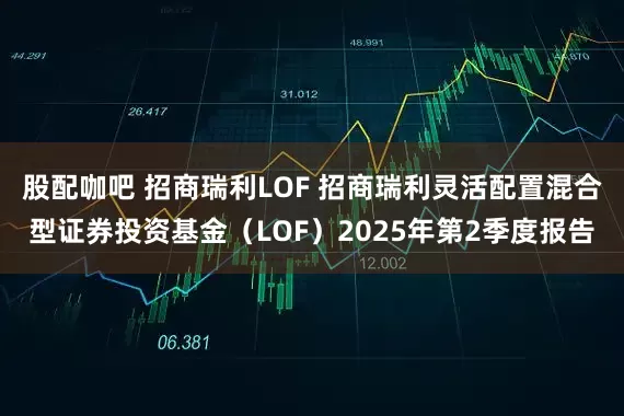 股配咖吧 招商瑞利LOF 招商瑞利灵活配置混合型证券投资基金（LOF）2025年第2季度报告